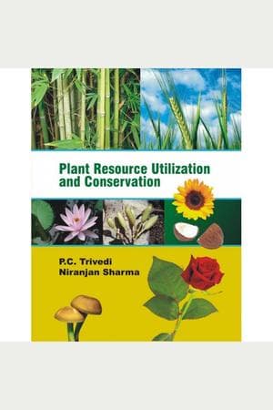 Cover of Plant Resource Utilization and Conservation